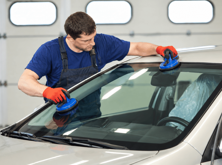 Technician installing a windshield using suction cup tools